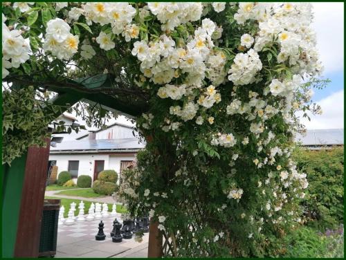 Schleswig-Holstein North Sea Coast Apartment | Urlaubshof-Boie