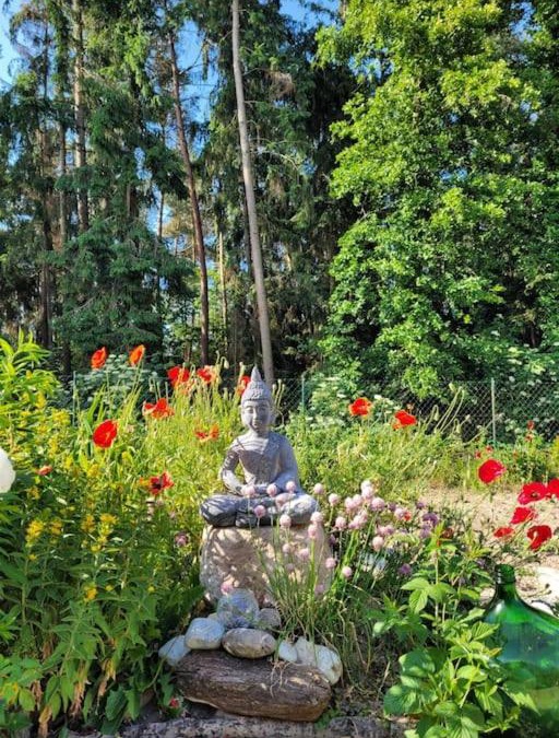 Pleinfeld Apartment | Urlaubstraum am Brombachsee- 5 stilvolle Zimmer-