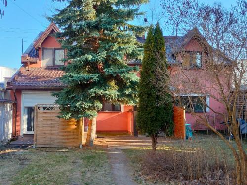 Lomianki Apartment | Urocze studia w Łomiankach, 1- z sauną i tarasem, 2- z kominkiem, 3- ekonomiczne, 7km metro Młociny Warszawa