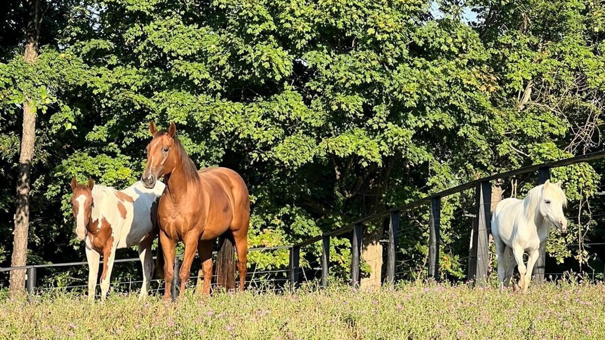 Beaverdam Lake-Salisbury Mills House | Cozy Getaway on a 50 Acre Historic Ranch
