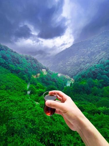 Caykara House | Uzungöl’e Yakın Doğadaki Eviniz