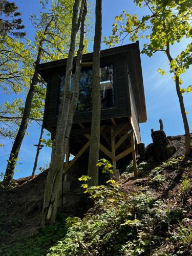 Habo Cabin | Vättervy Glamping- Ravinstuga