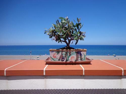 Marchesana Apartment | Vacanze al Mare Patrizia's Sweet Home