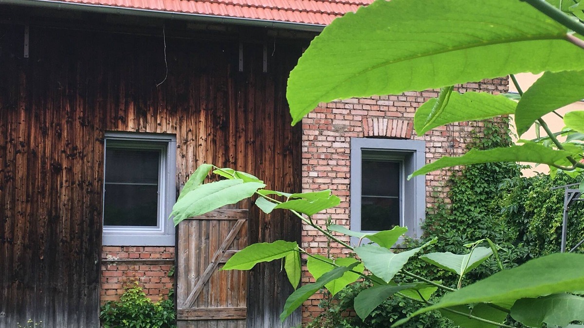 Tauberbischofsheim Apartment | Vacation apartment/apartment for 5 guests with 90m² in Tauberbischofsheim (145024)