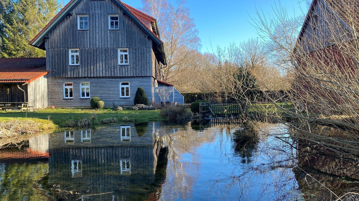 Eggeroder Brunnen Apartment | Vacation apartment Waldblick in the old forester's lodge (Harz)