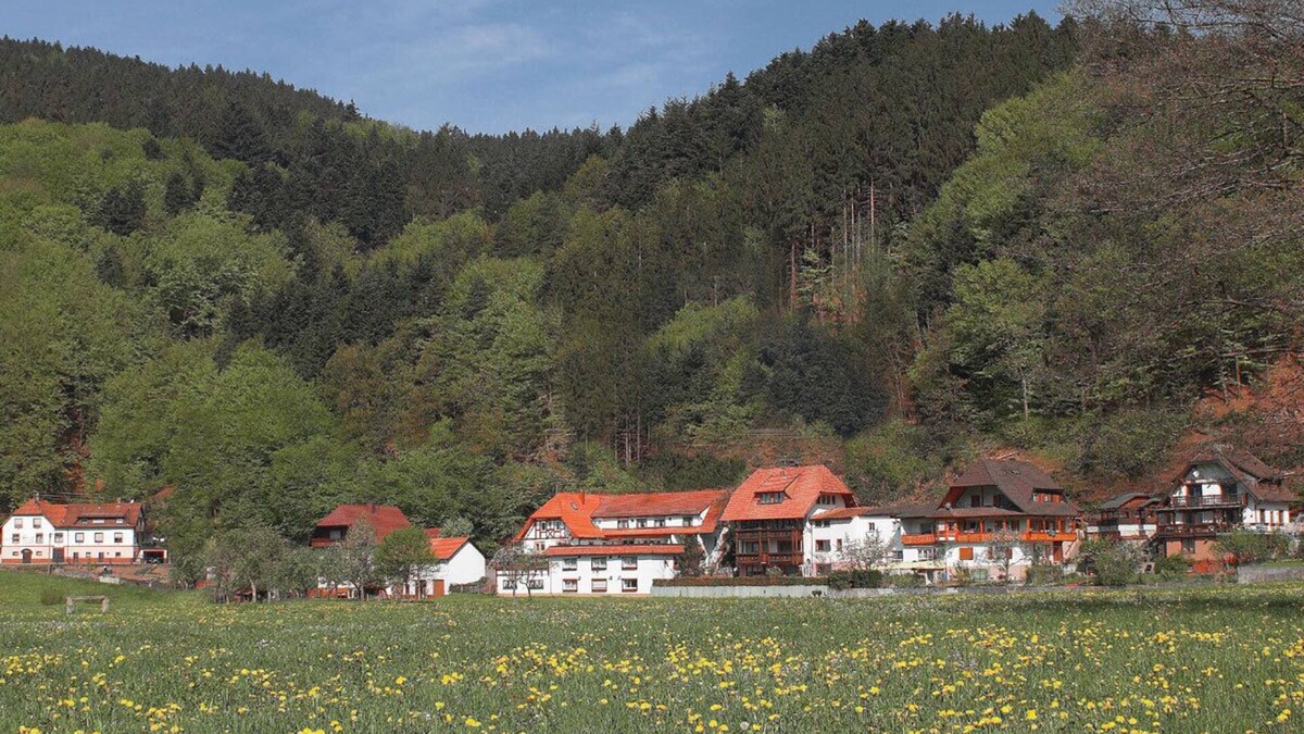Winden im Elztal Apartment | Vacation apartment at the Rain in the southern Black Forest - top equipment