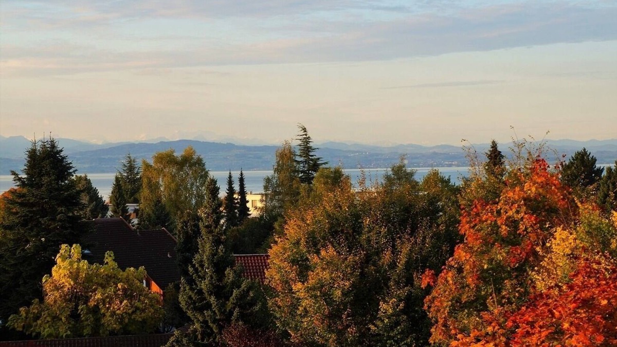 Waggershausen Apartment | Vacation apartment/apartment for 3 guests with 60m² in Friedrichshafen (165546)