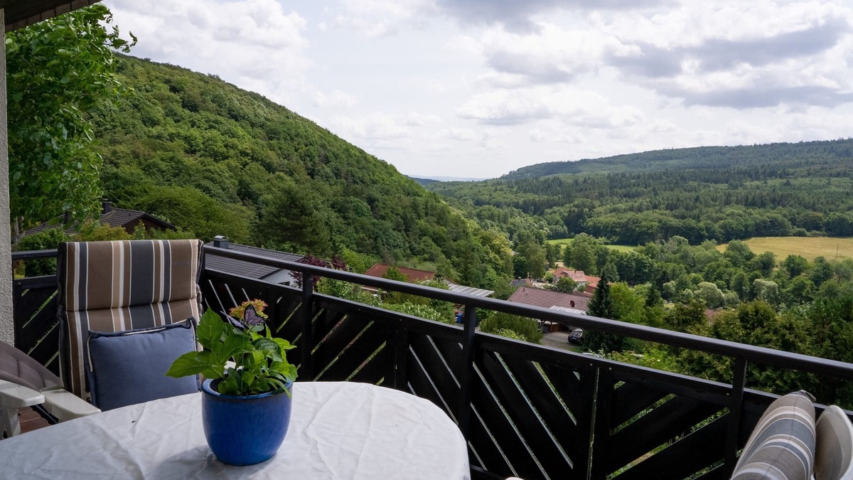 Bad Wildungen Apartment | Vacation apartment/apartment for 4 guests with 95m² in Bad Wildungen (267955)