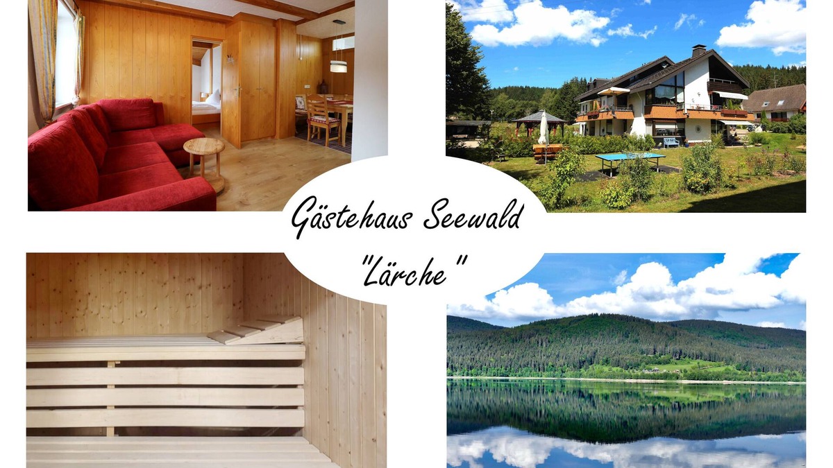 Blasiwald Apartment | Vacation apartment/apartment for 4 guests with 43m² in Schluchsee (268610)