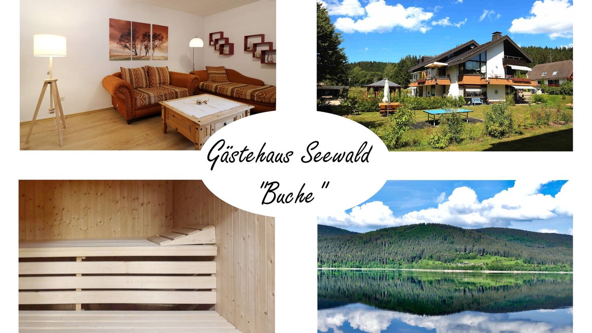 Blasiwald Apartment | Vacation apartment/apartment for 3 guests with 50m² in Schluchsee (268611)