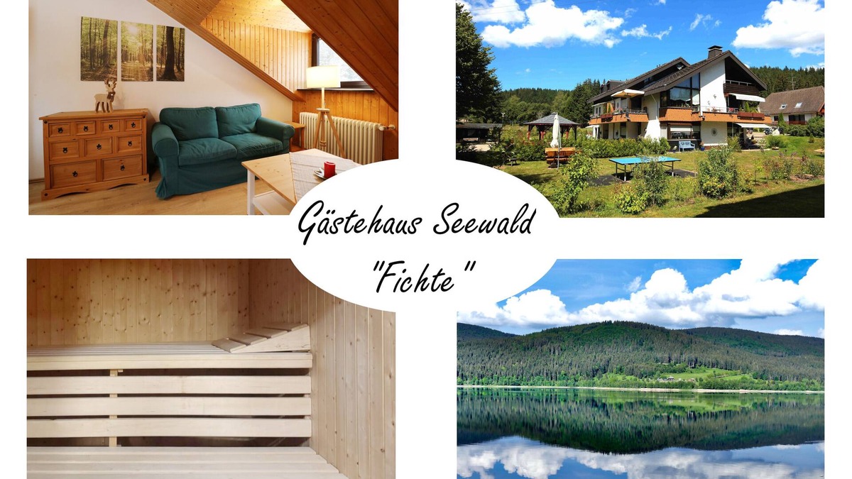 Blasiwald Apartment | Vacation apartment/apartment for 2 guests with 35m² in Schluchsee (268615)