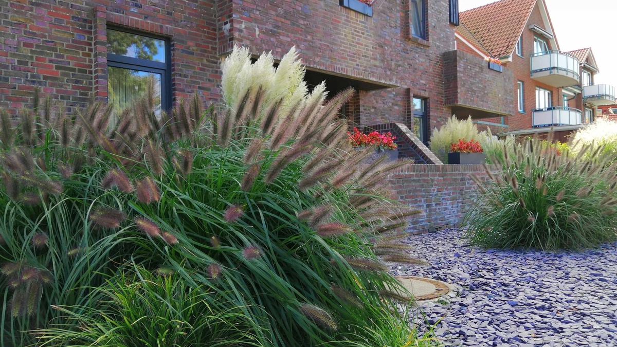 Horumersiel Apartment | Vacation apartment Anette