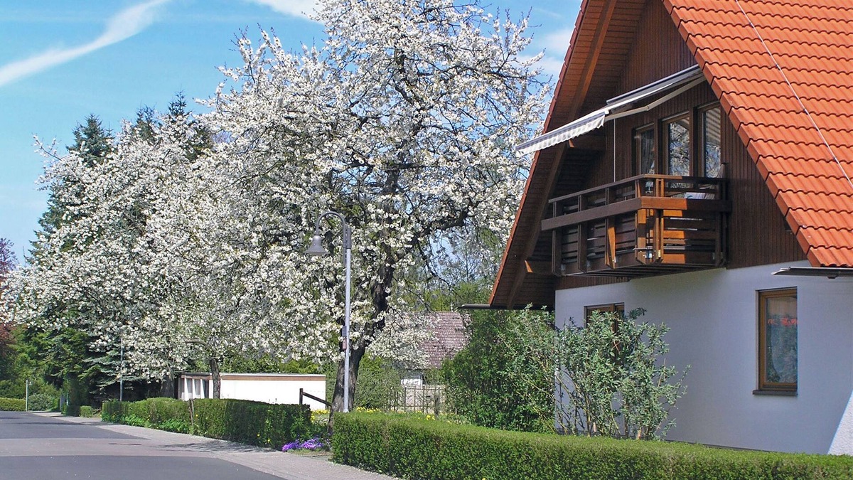 Schlitz Apartment | Vacation apartment Am Schlosspark. Max. 4 pers. 73 m², family-friendly, WLAN