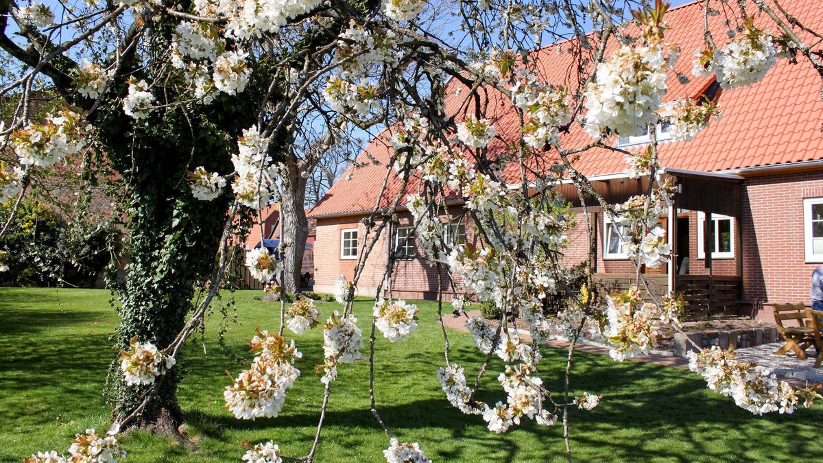 Suderburg Apartment | Vacation apartment/apartment for 8 guests with 140m² in Suderburg (267160)