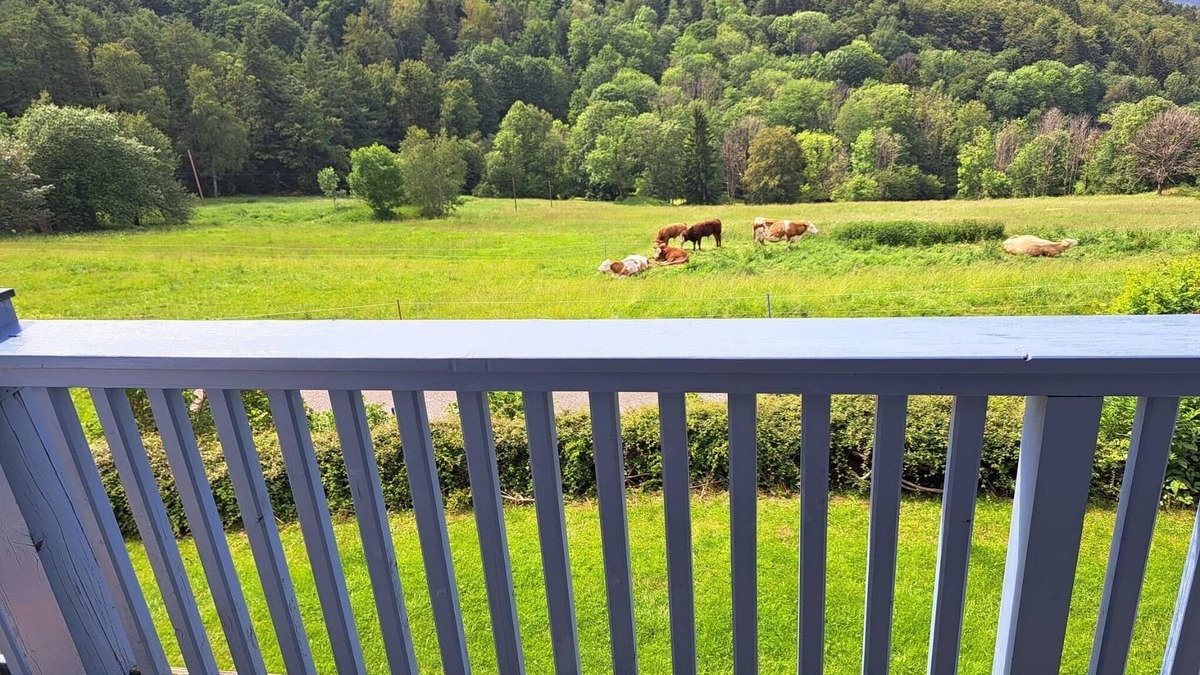 Sonnenwald Apartment | Vacation apartment/apartment for 3 guests with 35m² in Schöfweg (271303)