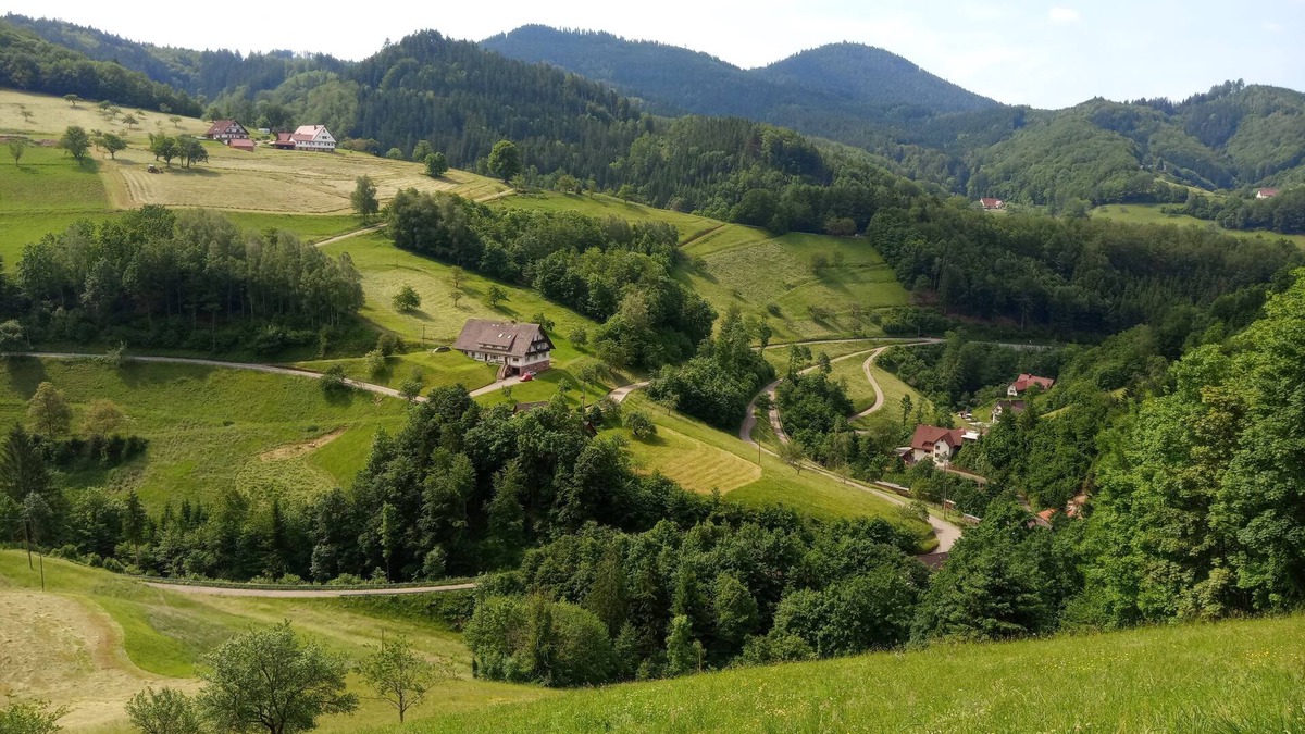 Oppenau Apartment | Vacation apartment/apartment for 4 guests with 64m² in Oppenau (158028)