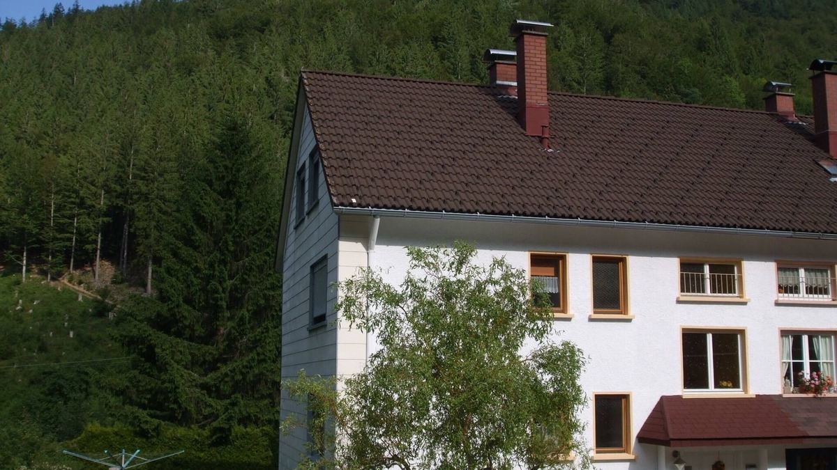 Brandenberg-Fahl Apartment | Vacation apartment/apartment for 4 guests with 50m² in Todtnau (157261)