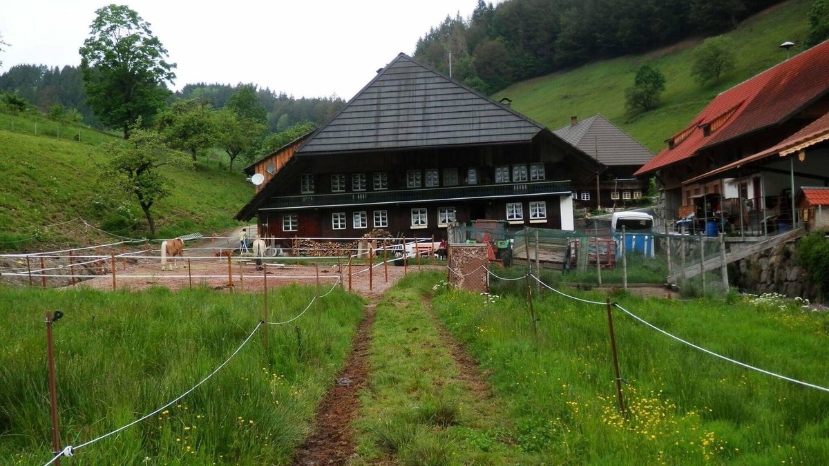 Bollen Apartment | Vacation apartment/apartment for 4 guests with 75m² in Böllen (68454)