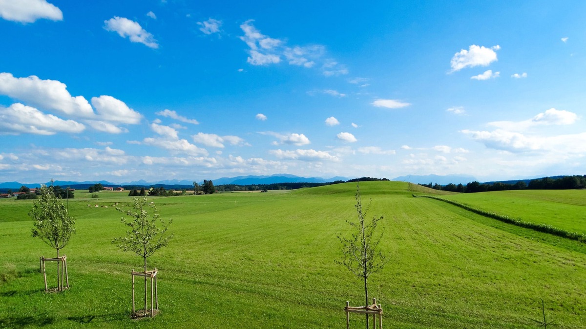 Aufhofen Apartment | Vacation apartment/apartment for 4 guests with 53m² in Egling (145699)