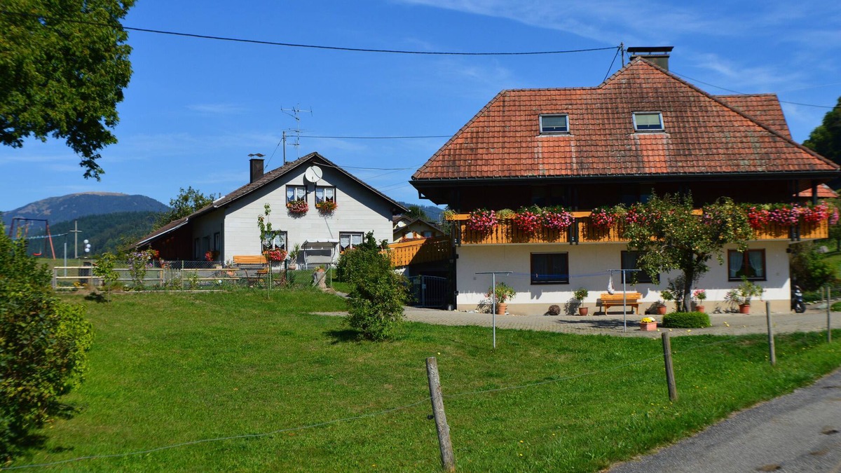 Frohnd Apartment | Vacation apartment/apartment for 5 guests with 70m² in Fröhnd (183303)