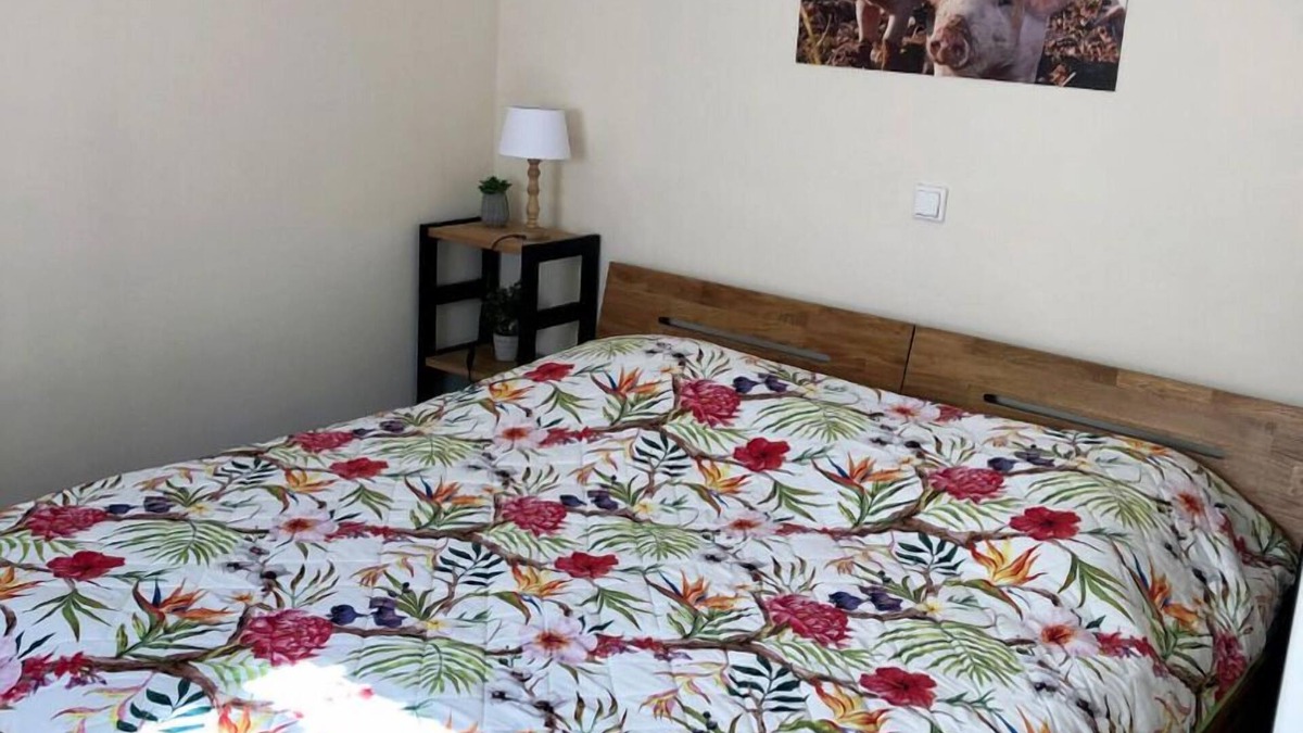 Merzen Apartment | Vacation apartment/apartment for 4 guests with 25m² in Merzen (121131)
