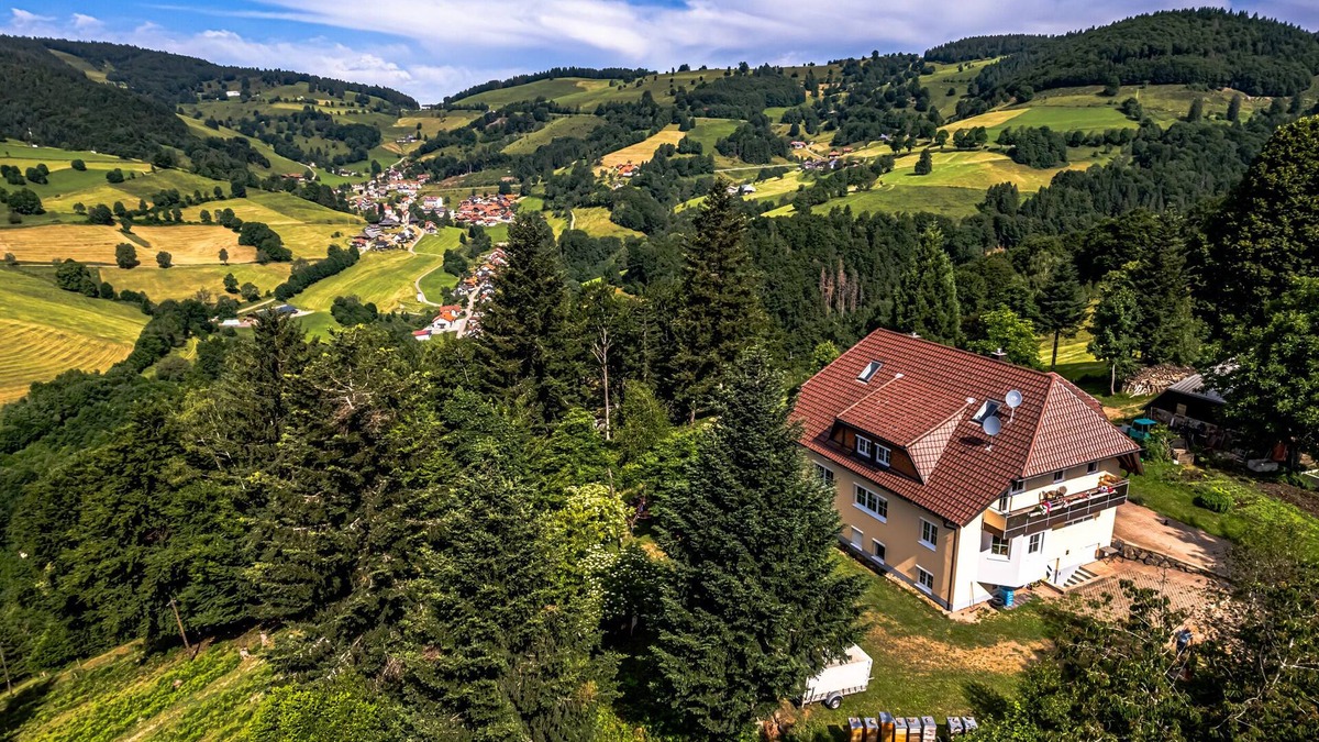 Wieden Apartment | Vacation apartment/apartment for 4 guests with 65m² in Wieden (297267)