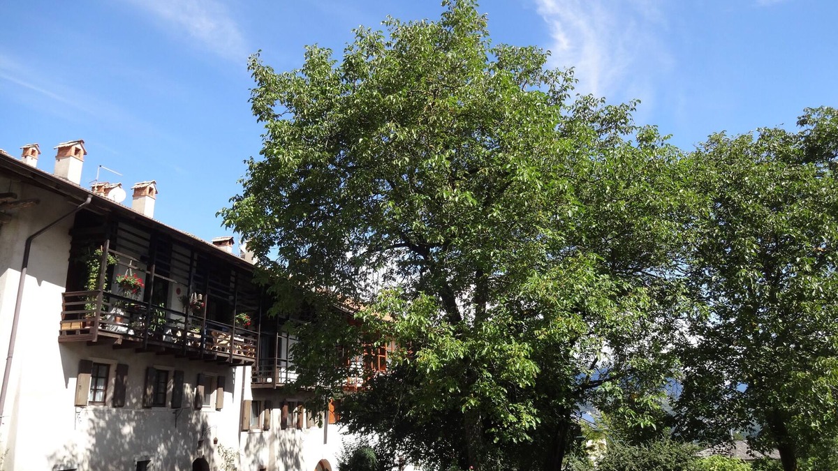 Fiave Apartment | Vacation apartment between Lake Tenno and Terme Comano. CIN: EN022083C233BCYBM2