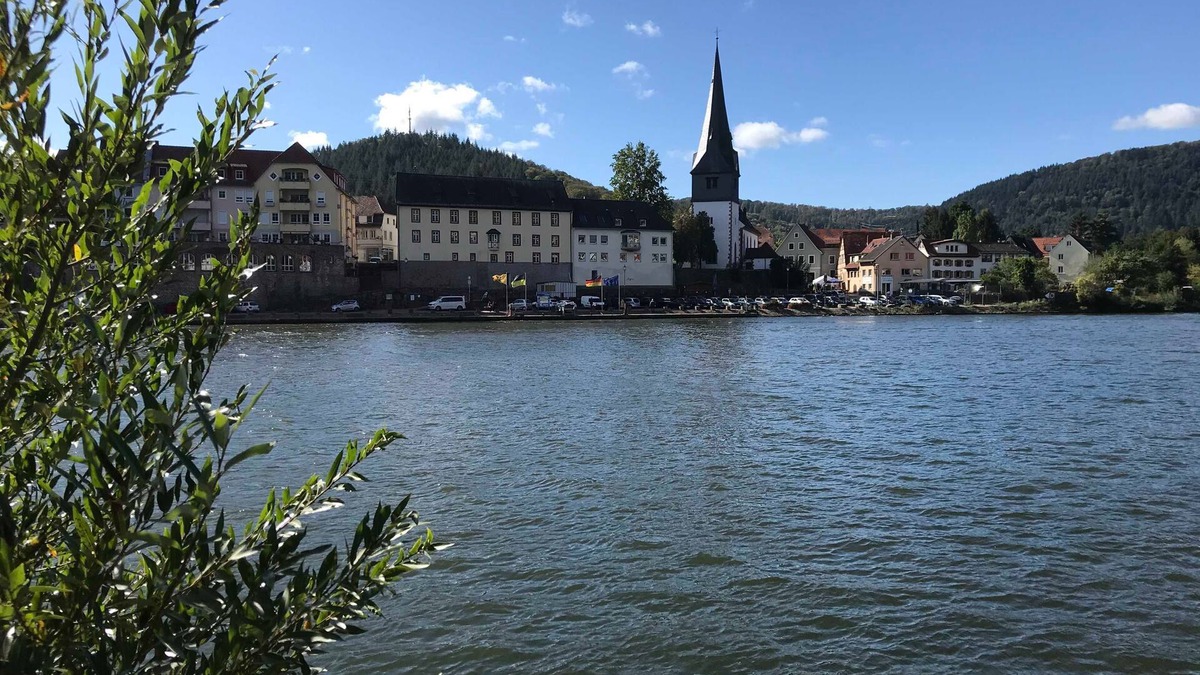 Neckargemuend Apartment | Vacation apartment Hantmann