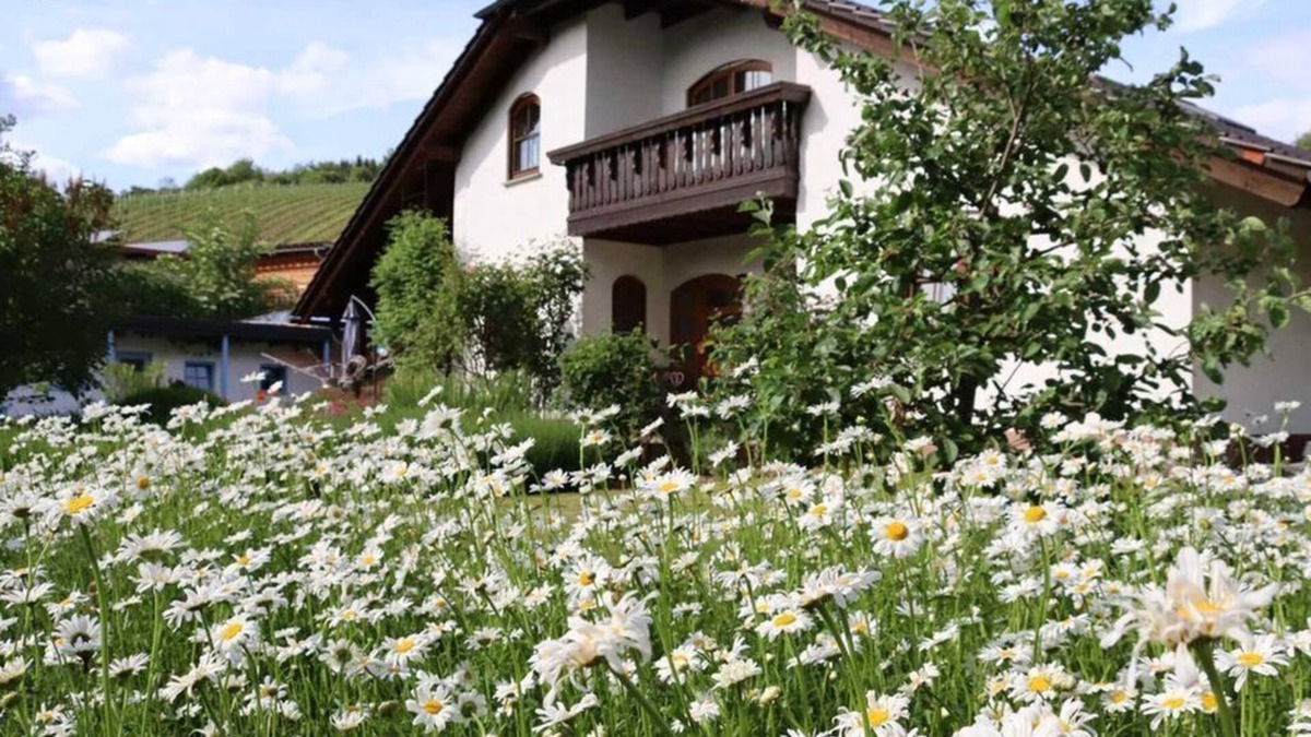 Dorsheim Apartment | Vacation apartment Weinbergsliebe - Wonderful vacation apartment on the vineyard