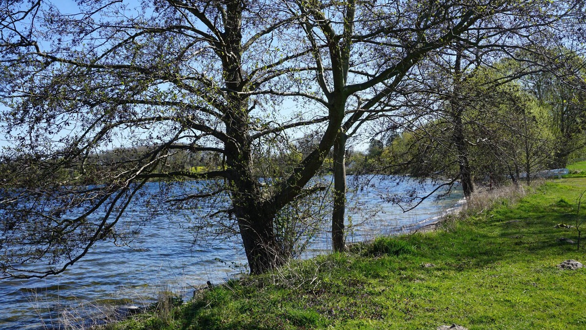 Nehmten Apartment | Vacation apartment directly on the Großer Plöner See