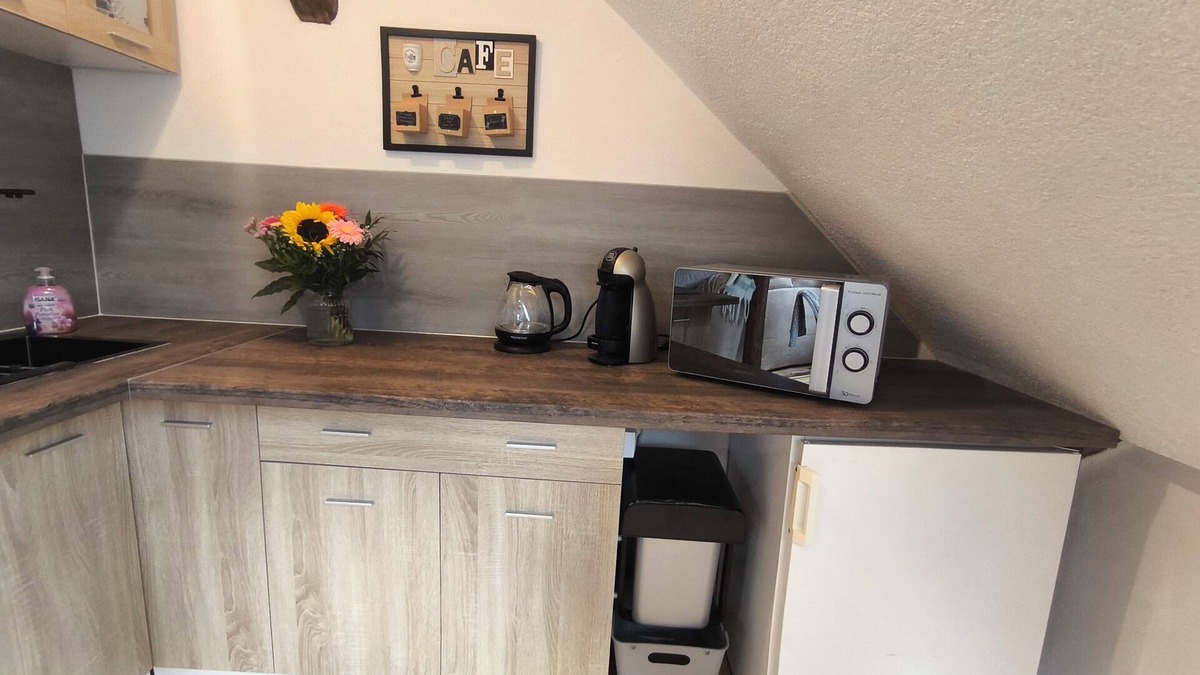Bockau Apartment | Vacation apartment "Elsa" in the heart of the Ore Mountains