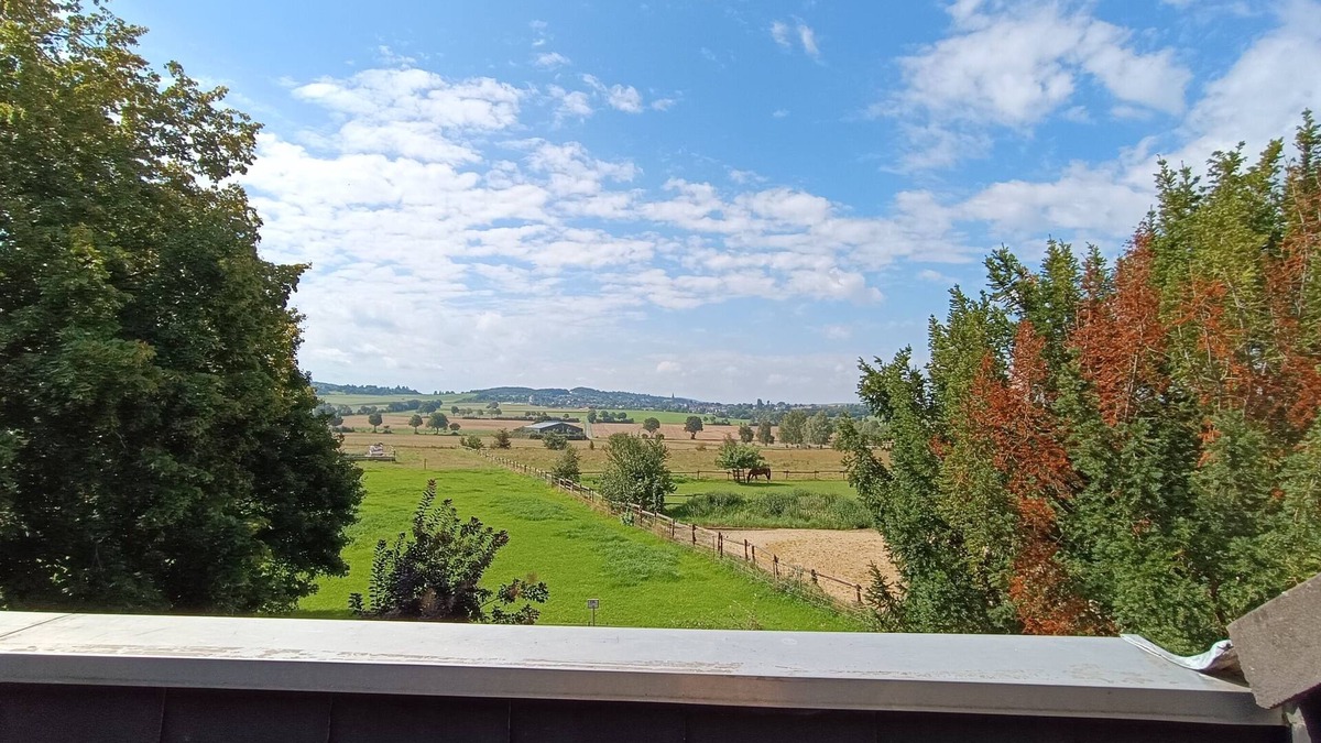 Euskirchen Apartment | Vacation apartment for 6 (7) persons Eifel