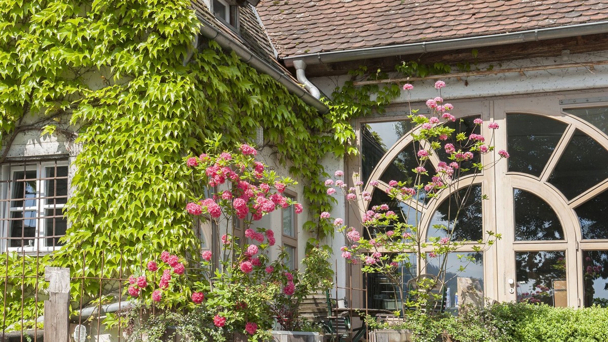 Hottingen Apartment | Vacation apartment Höttingen - Adults Only - near Brombachsee