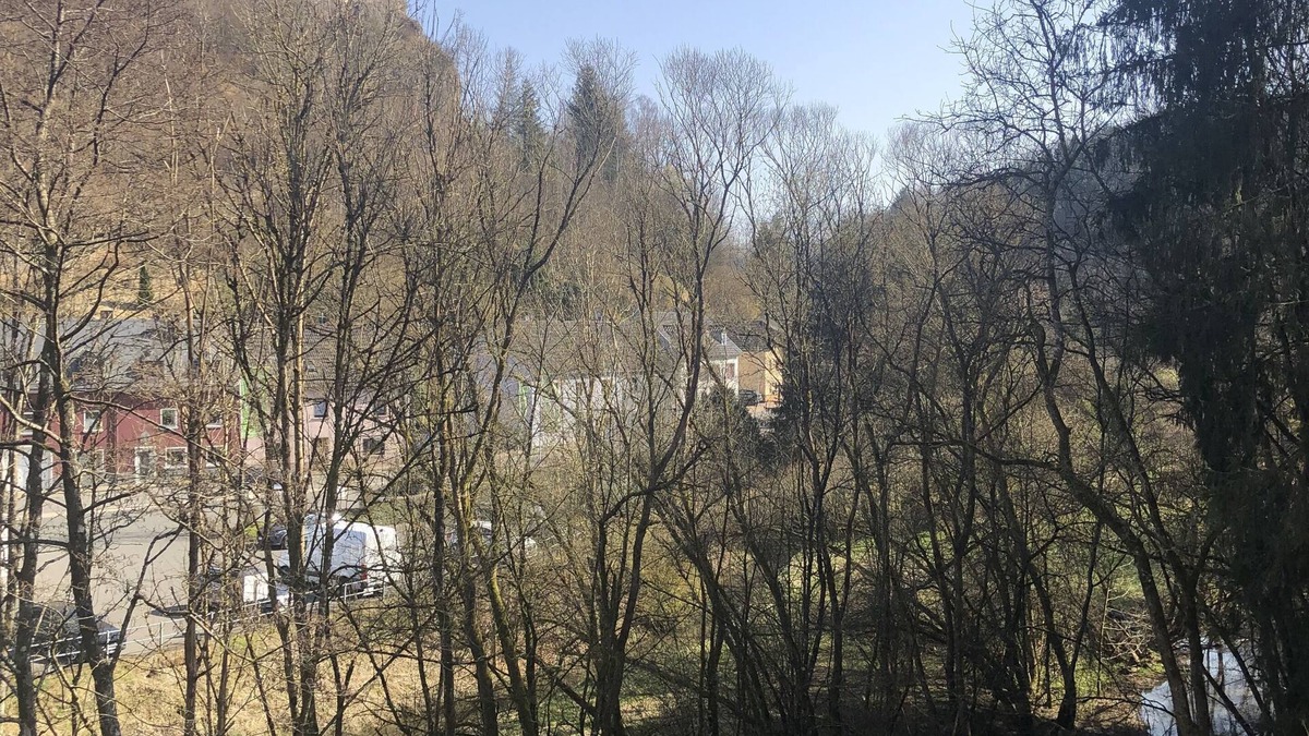 Schoenecken Condo | Vacation apartment Haus Schöneck