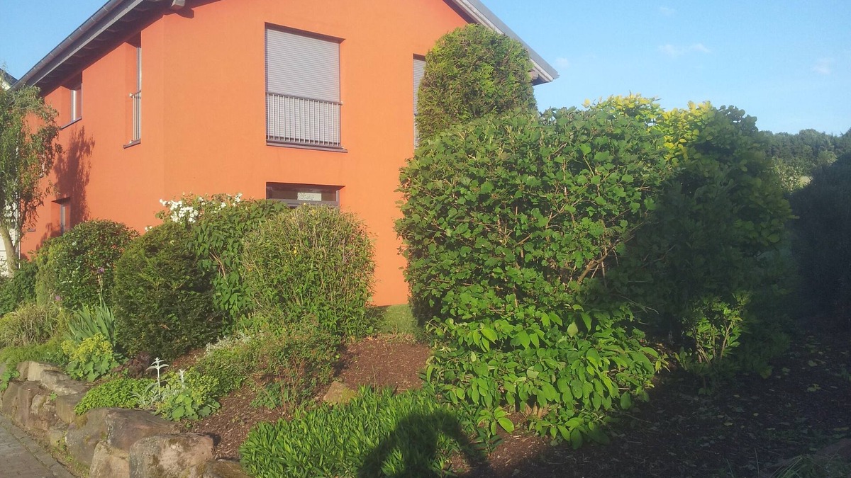 Kredenbach Apartment | Vacation apartment in a quiet location with kitchen