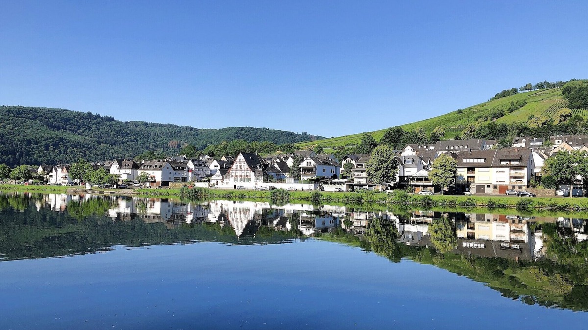 Kaimt Apartment | Vacation apartment Moselle vacation in Zell (Moselle)