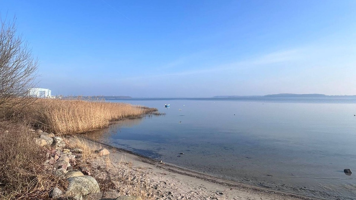Franken Siedlung Apartment | Vacation apartment Muschelbank