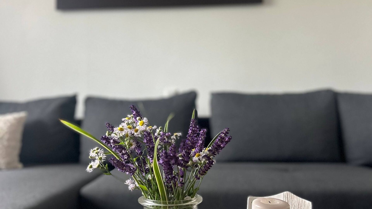 Wonsees Apartment | Vacation apartment Without equal