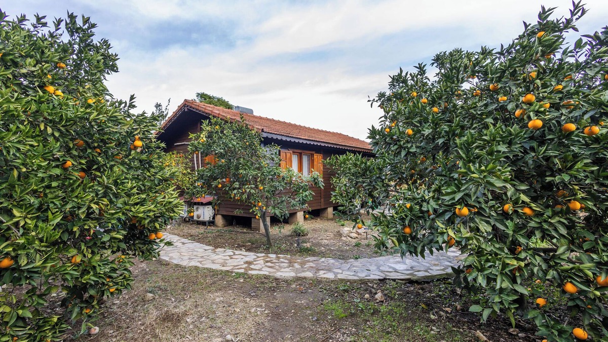 Cirali House | Vacation cottage Dilek Cirali Antalya Turkey