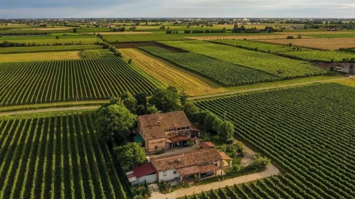 Lonigo House | Vacation Cottage La Vigna with Pool