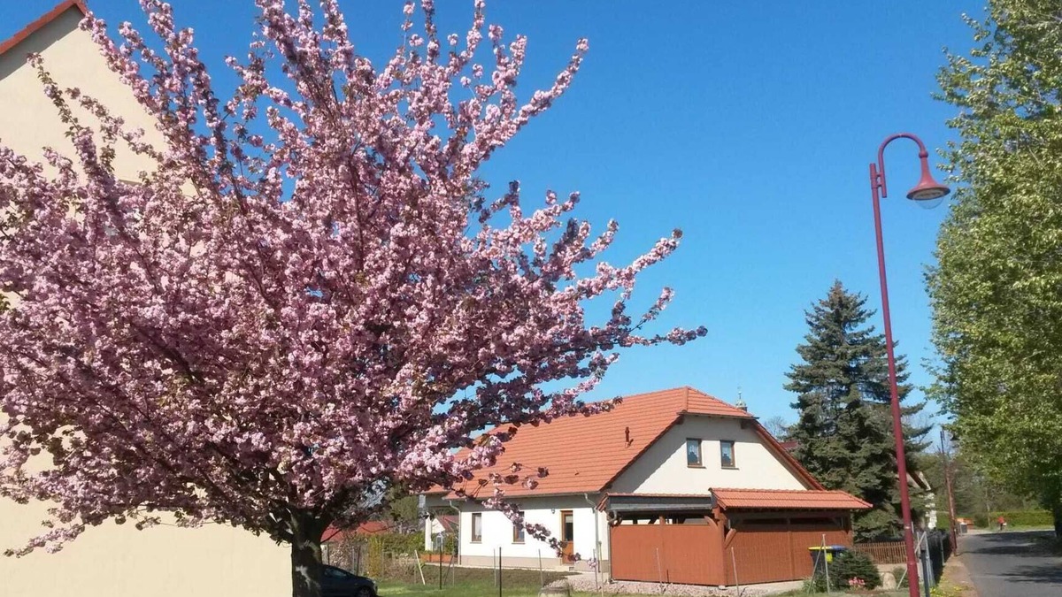 Grossposna Condo | Vacation apartment Störmthaler See