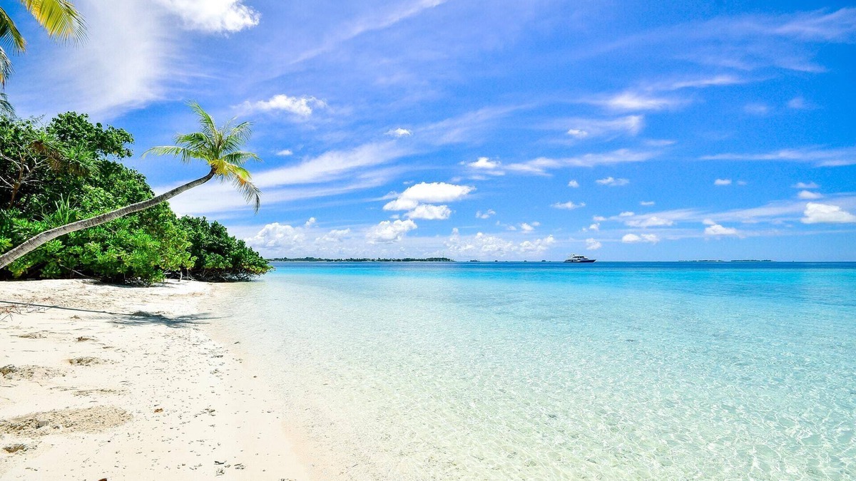 Sarasota Condo | Vacation delight! Cozy condo just steps from the beach and St. Armands circle.