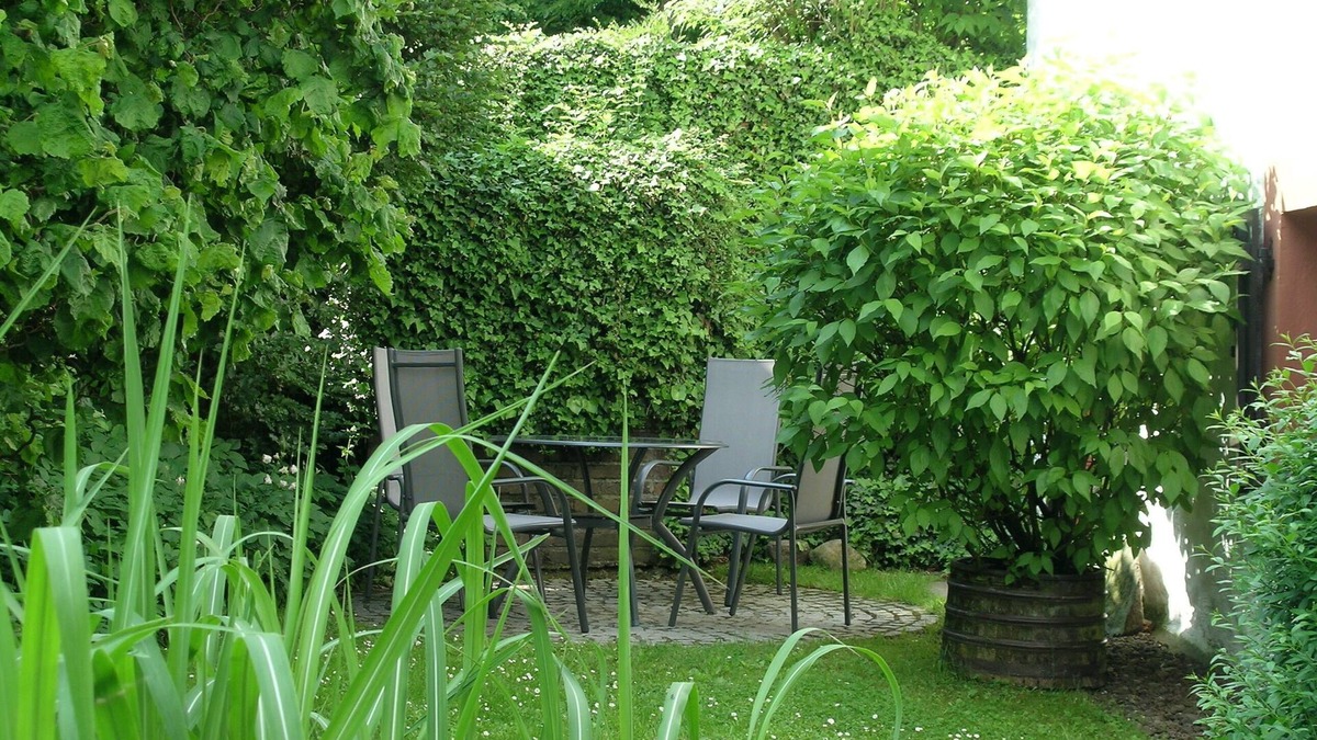 Wirtzfeld House | Vacation home for 4 guests with 90m² in BÜLLINGEN-WIRTZFELD (110996)