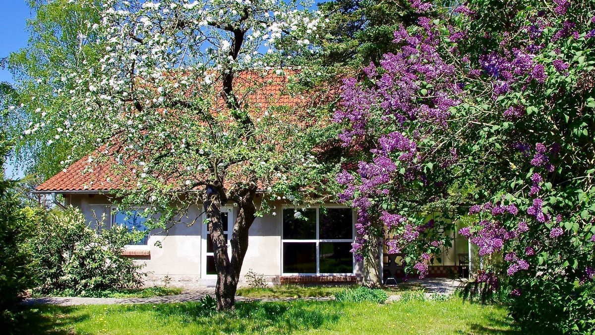 Basedow House | Vacation home Am Wald - Am Wald
