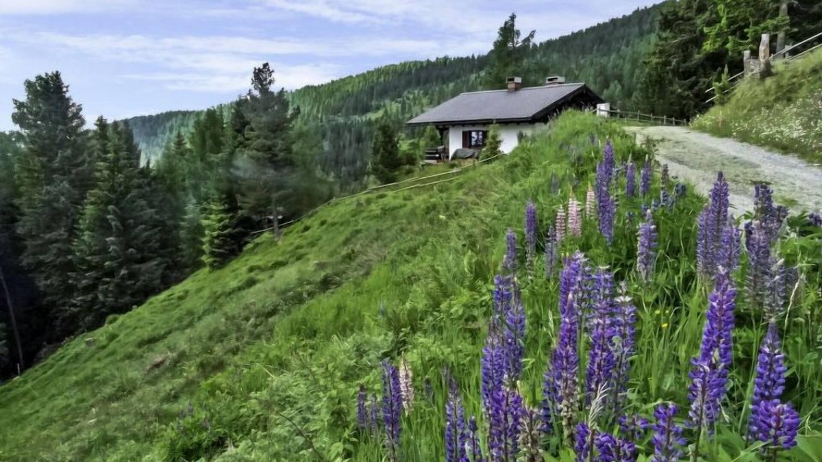 Albeck House | Vacation home Lotte by Interhome