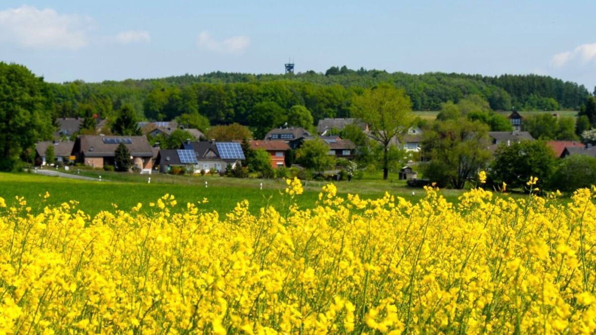 Heupelzen House | Vacation home Beulskopf - relaxing in nature