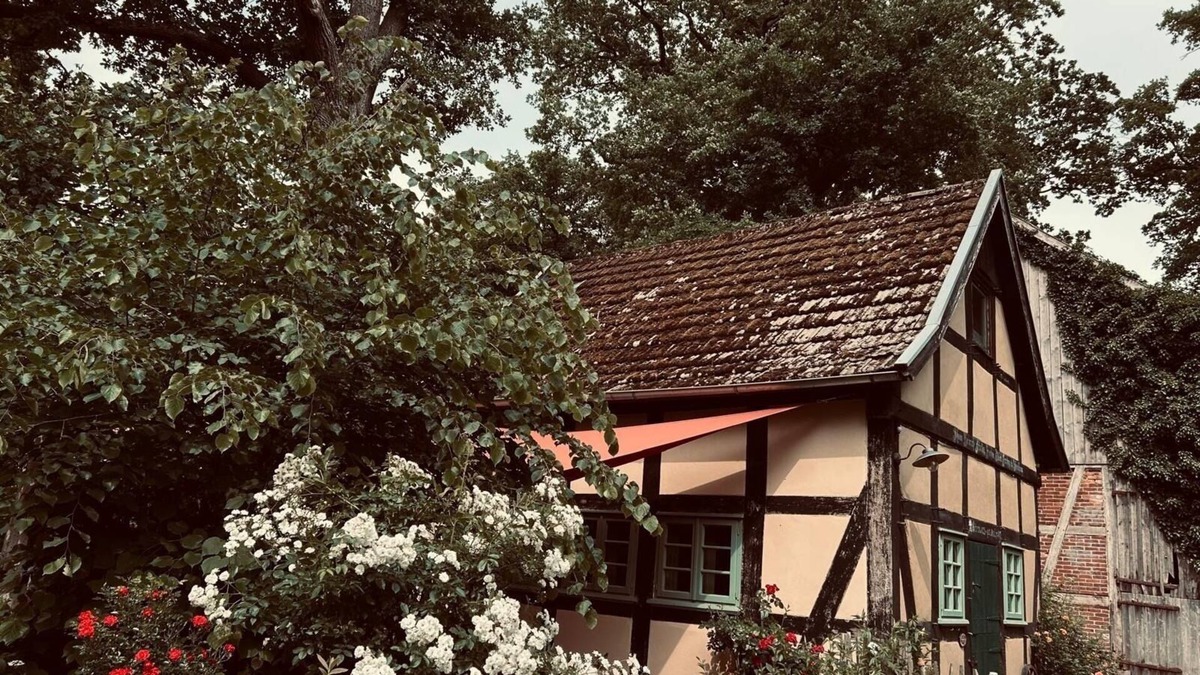 Donstorf House | Vacation home for 3 guests with 60m² in Eydelstedt (166015)
