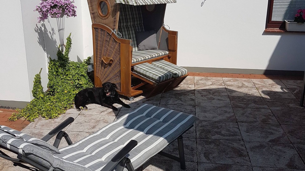 Bad Bederkesa House | Vacation home for 3 guests with 90m² in Geestland (266088)
