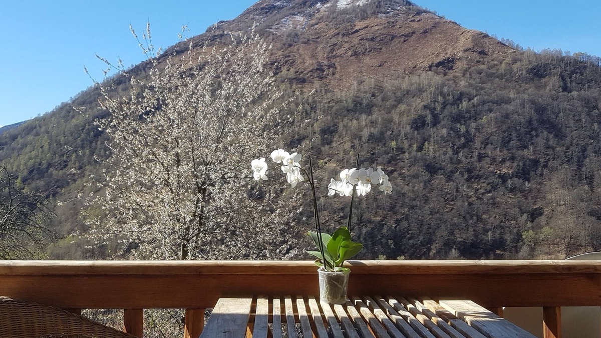 Cursolo-Orasso House | Vacation home for 3 guests with 60m² in Orasso (128002)