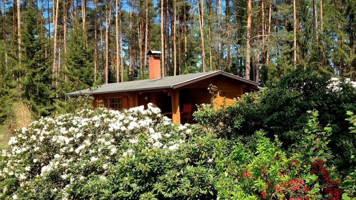 Suderburg House | Vacation home for 4 guests with 55m² in Böddenstedt (20539)